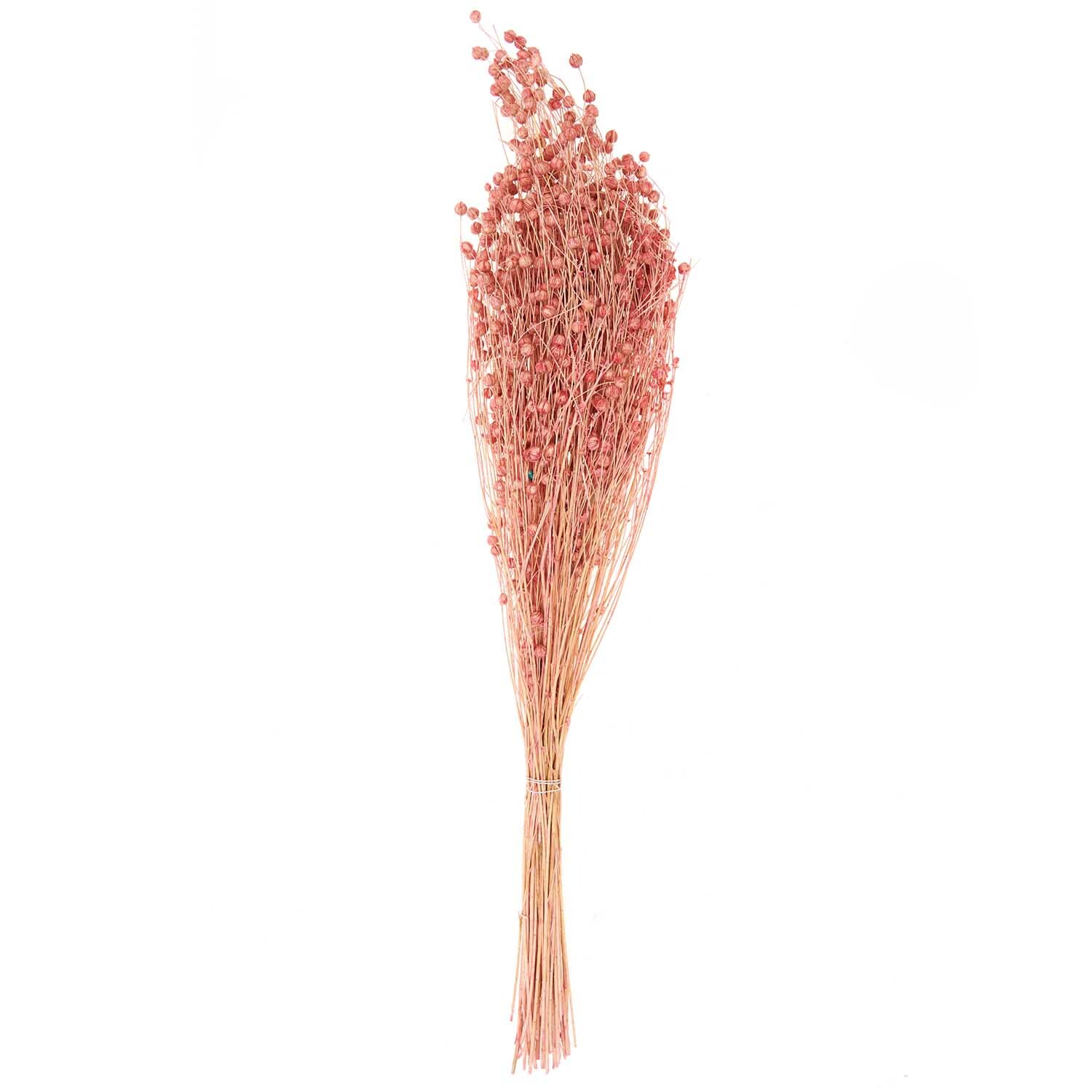 Getrockneter Flachs pink 60-75cm 100g