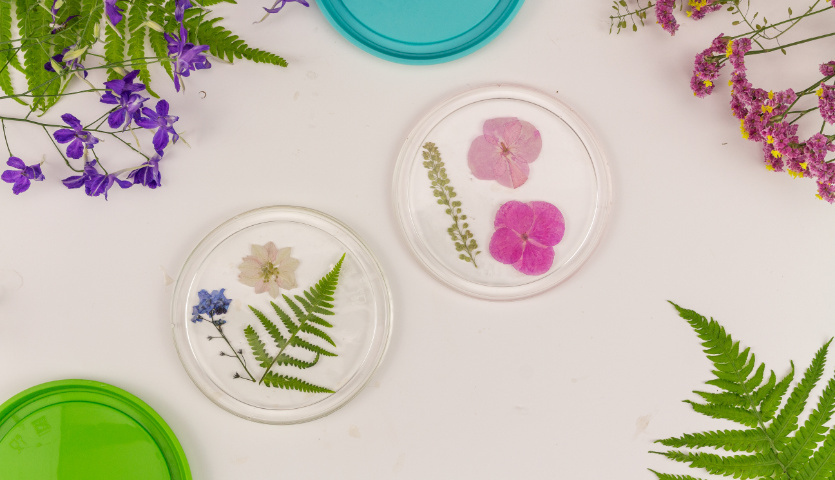 Bastelanleitung Untersetzer aus Resin mit gepressten Blumen