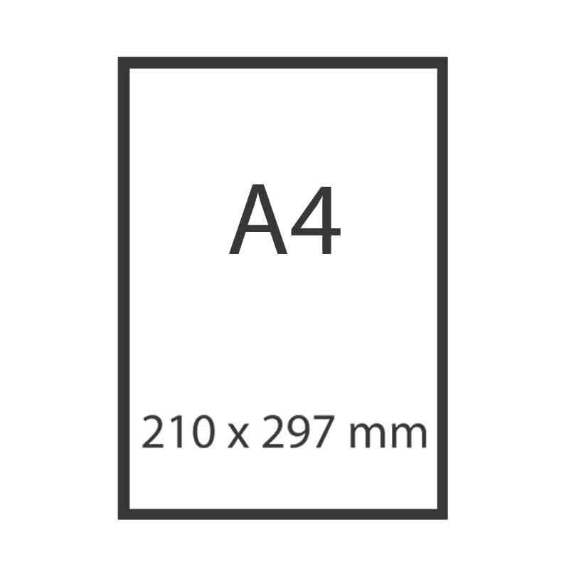 Bogen Essentials A4 5 Stück