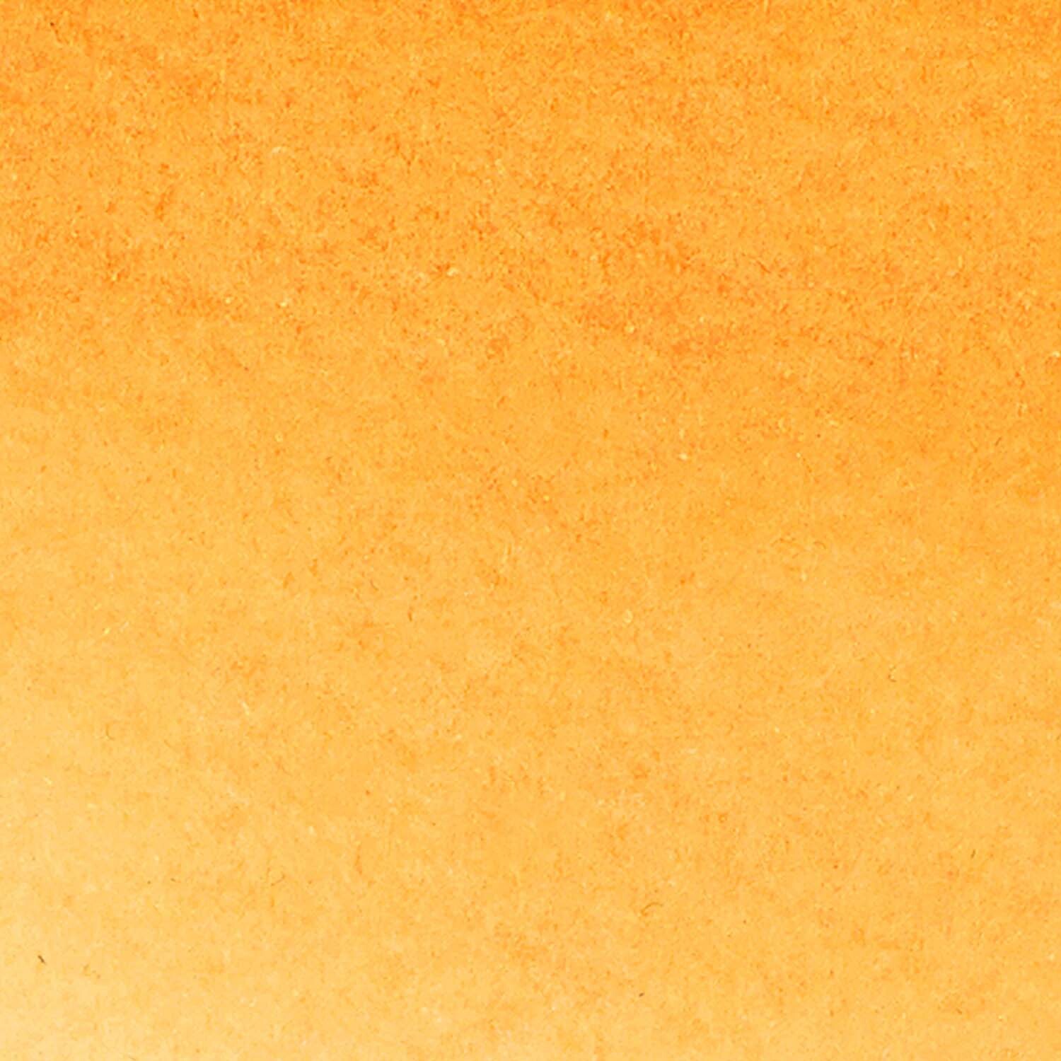 Cadmium Orange Hue