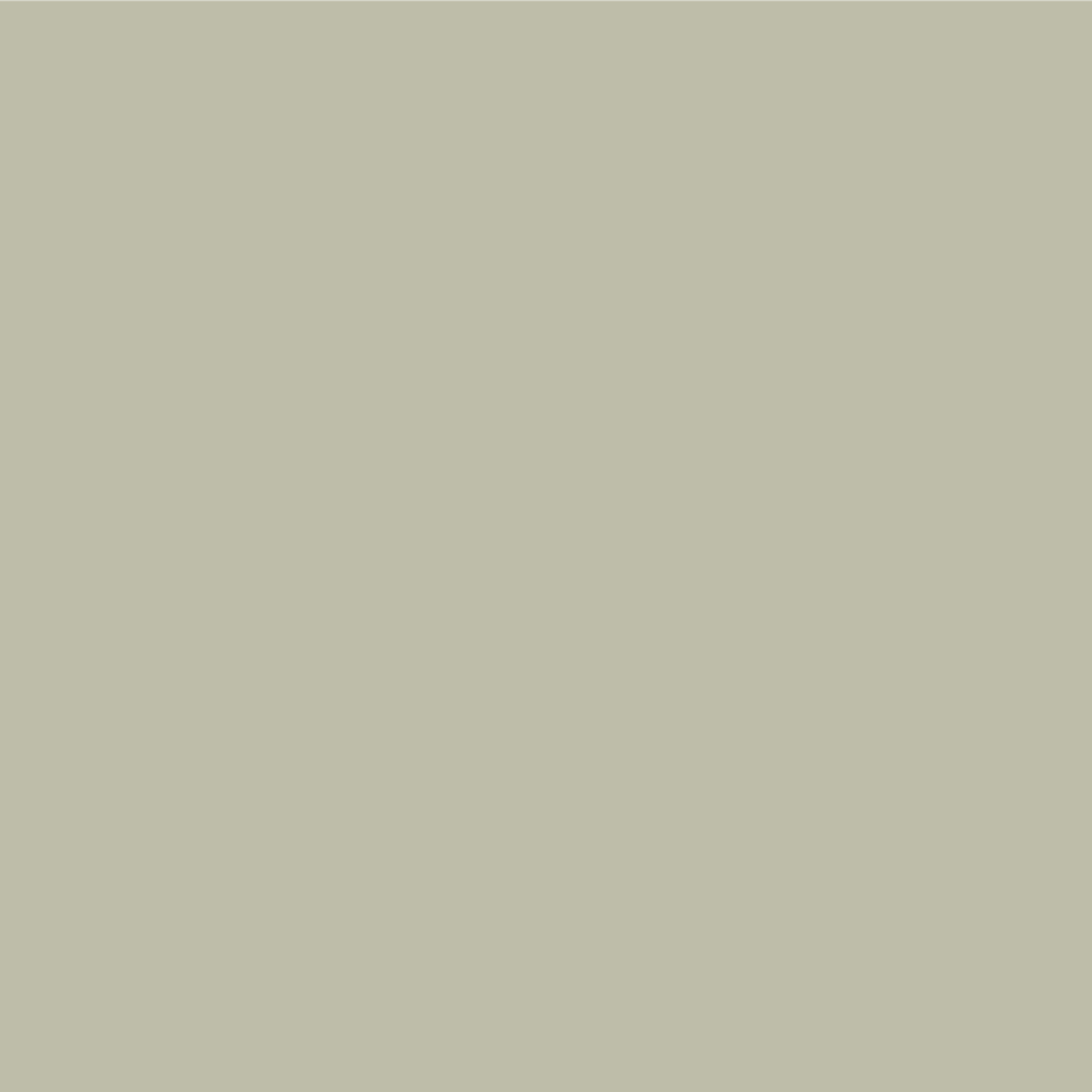 Grayish Green Pale