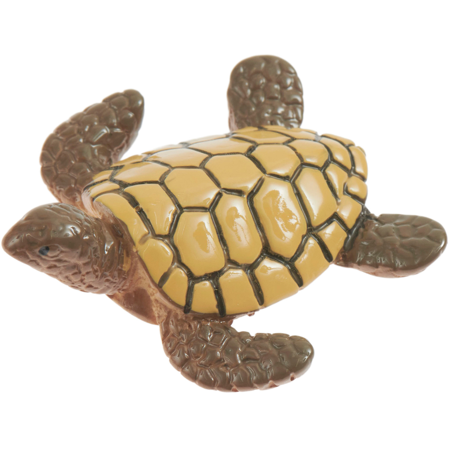 Miniatur Schildkröte